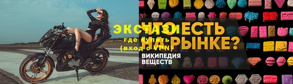 дмт Бородино