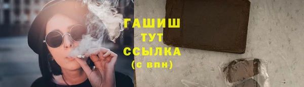 дмт Бородино