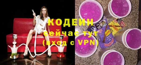 дмт Бородино