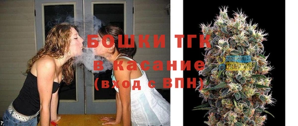 дмт Бородино