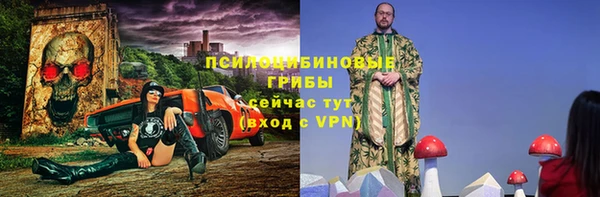 дмт Бородино
