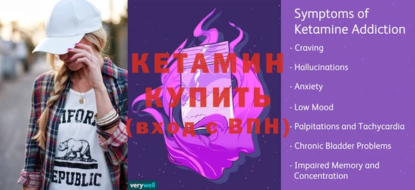 дмт Бородино